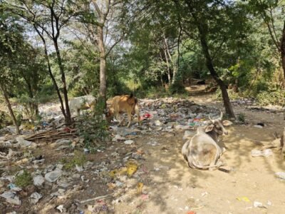 WhatsApp Image 2026-01-10 at 12.23.46 PM